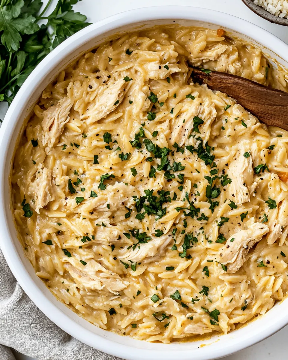 Delicious Creamy Chicken Orzo shot
