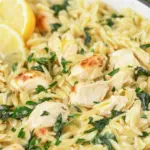 Homemade Creamy Lemon Orzo with Chicken photo