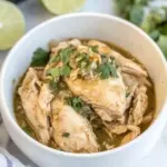 Homemade Instant Pot Salsa Verde Chicken photo