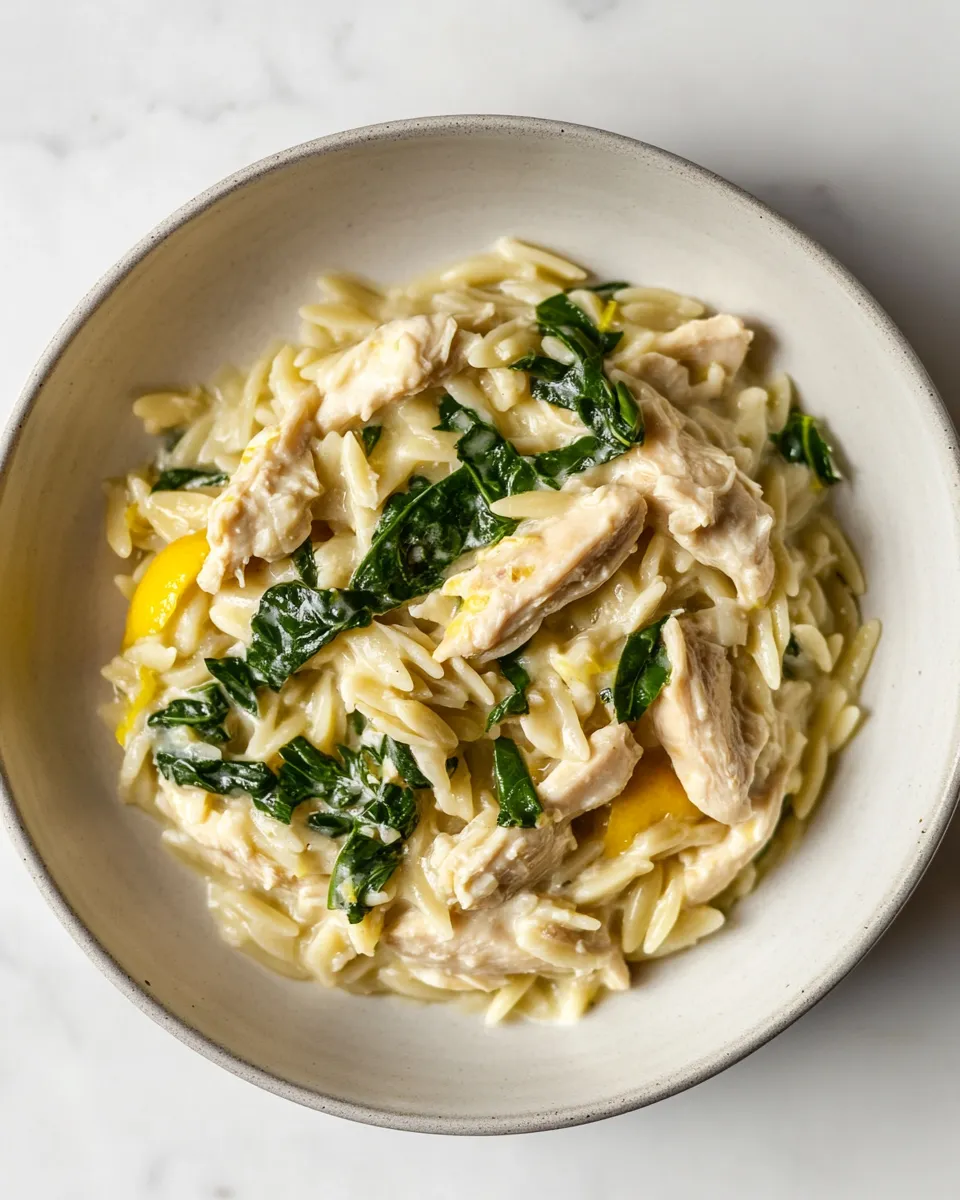 Delicious Lemon Chicken Orzo dish photo