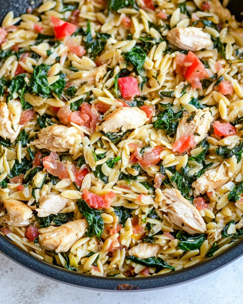 delicious One-Pan Chicken and Spinach Orzo dish photo
