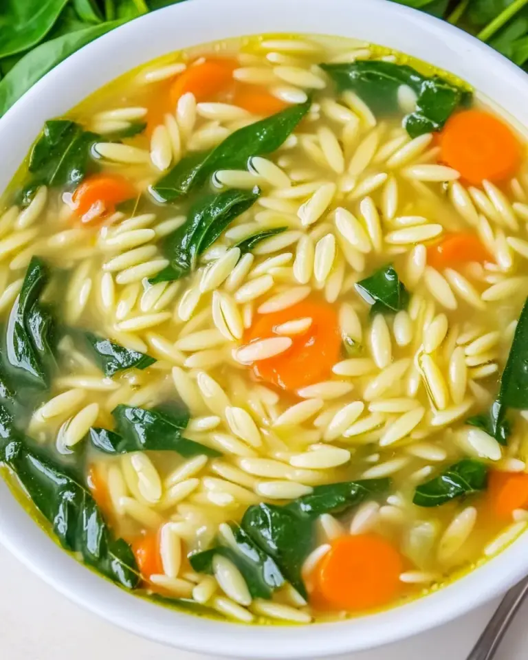 homemade Quick Orzo Soup photo