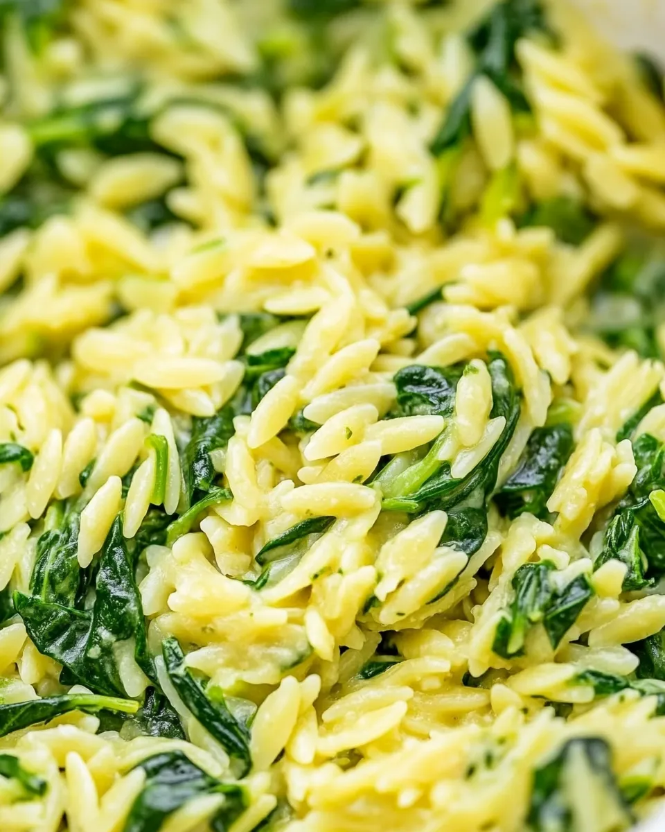 homemade Quick & Easy Creamy Spinach Orzo photo