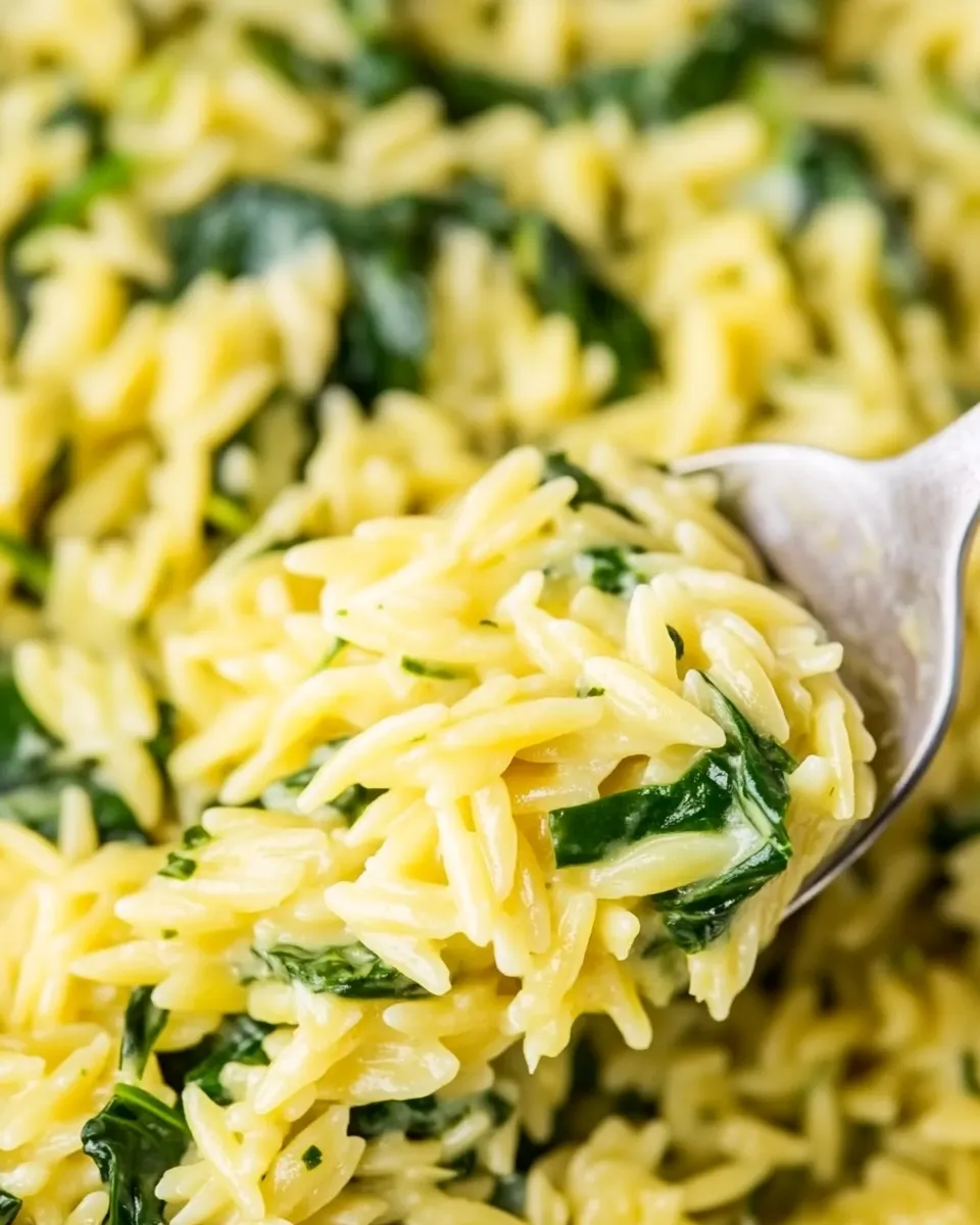 classic Quick & Easy Creamy Spinach Orzo image