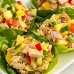 Homemade Tuna Salad Lettuce Wraps recipe photo